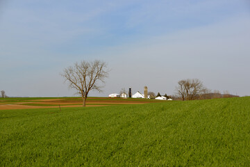 Fototapeta Amish Farm in Lancaster County Pennsylvania obraz