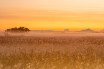 夜明けの渡良瀬遊水池と筑波山