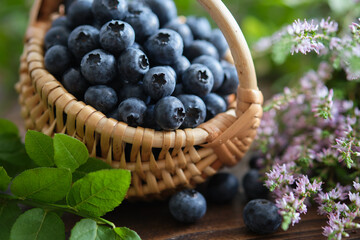 Basket of fresh ripe blueberries. Blueberry leaves and wild heather flowers.