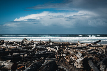 Fototapeta na wymiar Logs on the shore of Umpqua beach