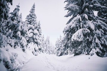 Snowy Eagle Mountains in the Czech Republic