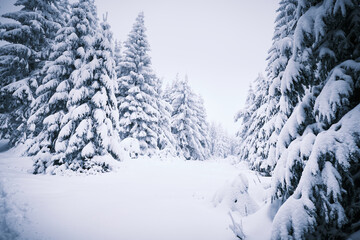 Snowy Eagle Mountains in the Czech Republic