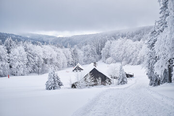 Snowy Eagle Mountains in the Czech Republic