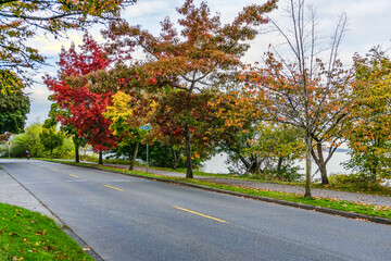 Obraz premium Scenic Fall Shoreline Landscape 10