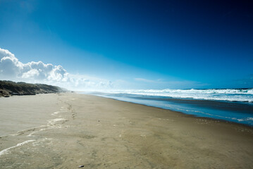 Long stretch of Umpqua beach