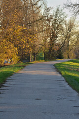 Obraz premium A road made of concrete slabs among trees in the light of the setting sun. Nobody.
