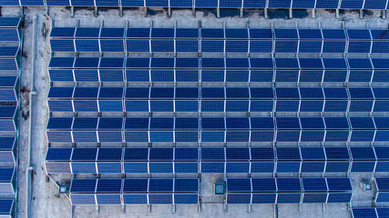 Straight rows of blue photovoltaic solar panels mounted on building roof. Ecological production of...