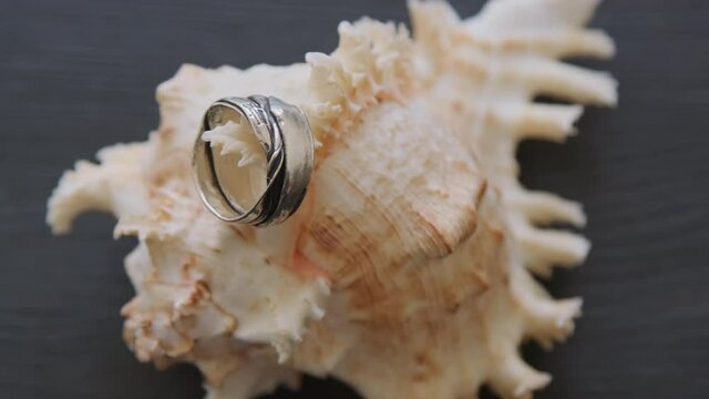 Top view close up with PAN of metal rings on seashell lying on wooden table