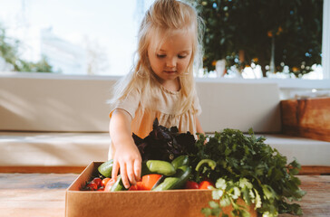 Child with vegetables harvest vegan healthy food eating lifestyle organic vegetables and greens...