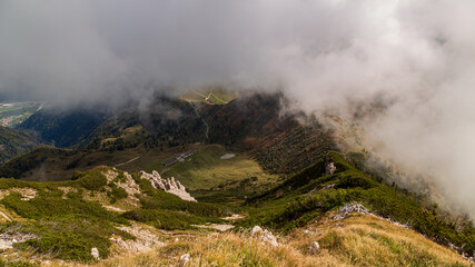 Colors are exploding in the woods of Carnic Alps