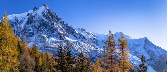 Evergreen trees on background of scenic snowy mountains. Mont Blanc mountain range,...