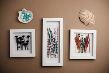 dried colorful flower in frame and seashells
