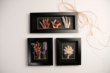 dried colorful flower in frame