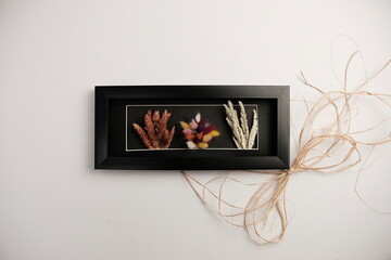 dried colorful flower in frame