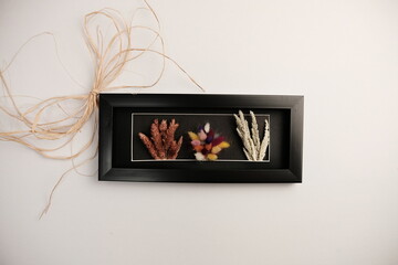 dried colorful flower in frame