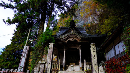 上帝釈峡の大銀杏の紅葉