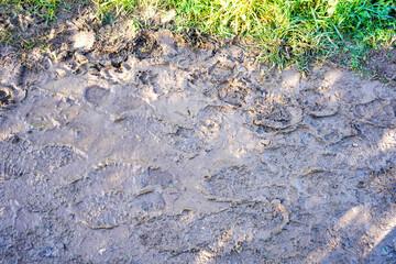Close up of muddy foot prints