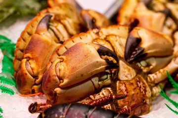 Fish store in the boqueria of Barcelona, Buey de mar (Cancer pagurus), selective approach.