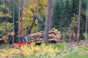 Ein Forstfahrzeug in einem Waldabschnitt beim beräumen von gefällten Bäumen.
