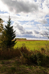 natural background summer season field clouds and horizon