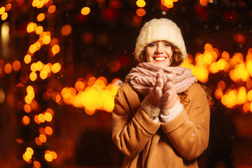 Young woman in winter style clothes against the backdrop of garland lights in the evening. Cold weather. Winter fashion, holidays, rest, travel concept.