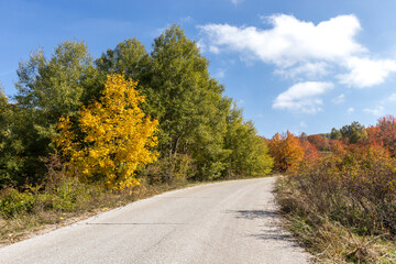 Autumn view of Vitosha Mountain, Bulgaria