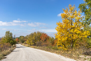 Autumn view of Vitosha Mountain, Bulgaria