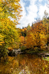 Fototapeta premium Autumn view of Vitosha Mountain, Bulgaria