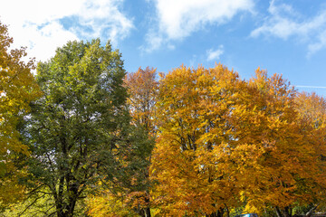 Autumn view of Vitosha Mountain, Bulgaria