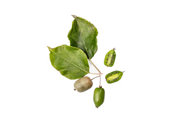 Ripe Actinidia arguta or kiwi isolated on white background