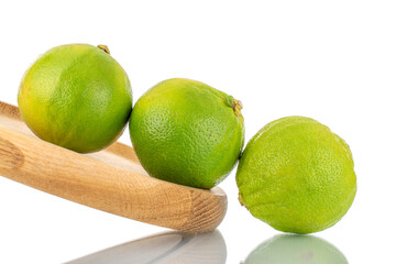 Several organic fragrant bergamots with a wooden tray, close-up, isolated on white.