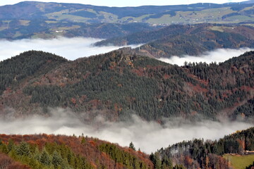 Hinterwaldkopf im Schwarzwald bei Inversionswetter