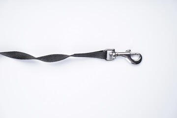 Dog leash with carabiner on a white background, space for text, flat lay.