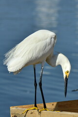 Grua blanca en el puerto de Cartagena de Indias, en el mar Caribe, en el norte de Colómbia