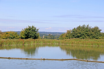 Kennet and Avon Canal, Wiltshire