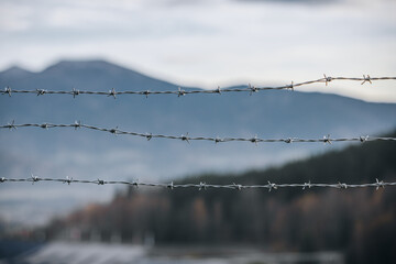 barbed wire fence