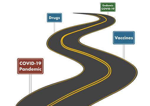 The Roadmap Towards The End Of The COVID-19 Pandemic