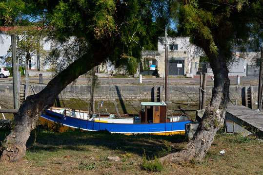Boat and two tamarisk trees at La Tremblade, a commune in the Charente-Maritime department and Nouvelle-Aquitaine region in south-western France