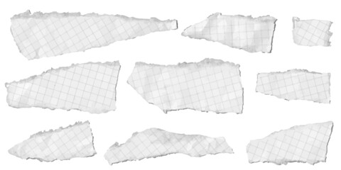 Vector illustration of torn pieces of paper. Graphics texture background for design.