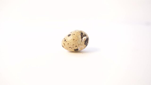 Newborn quail egg on white background. Chick hatching out its egg, breaks the shell. The birth of a new little life.