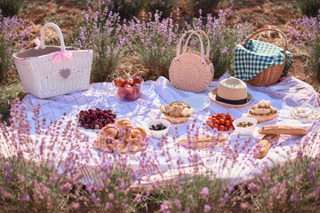 Picnic in lavender field at sunny day. Vacation and travel concept. Blanket, fruits, cheese and...