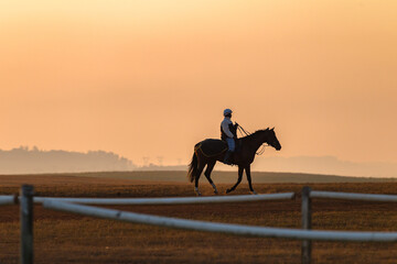 Race Horse training dawn sky with rider silhouetted against orange sky a panoramic lifestyle landscape.