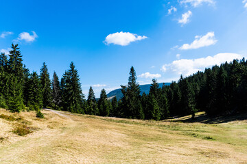 Grassland near the Rusty Pit (Groapa Ruginoasa), Apuseni mountains, Bihor county, Romania.