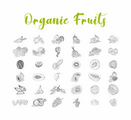 Fruit collection in flat hand drawn style, illustrations set. Decorative retro style collection hand drawn farm product for restaurant menu. Vector.