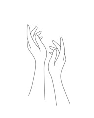 Elegant female hands outline illustration for cosmetics