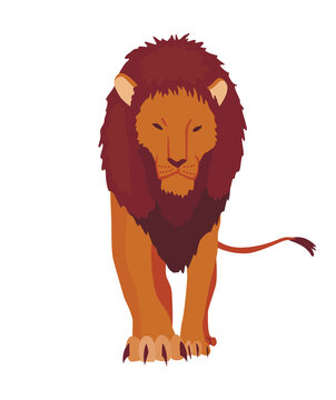 Proud powerful lion character. King of animal. Cartoon cute wild cat standing. Isolated vector Illustrations on a white background