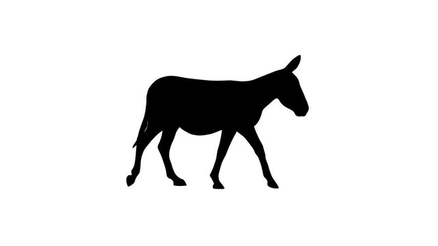 Silhouette of the walking donkey, animation on the white background