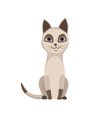 Cartoon cat character. Siamese colorpoint pet. Adorable domestic cat sitting. Funny happy and playful animal. Cute two color kitten