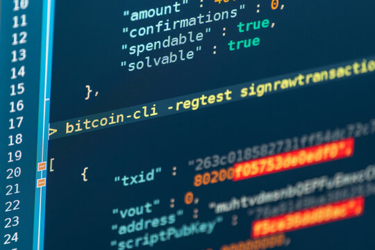 Cryptocurrency source code on a computer screen. Computer screen showing a piece of bitcoin transaction source code.