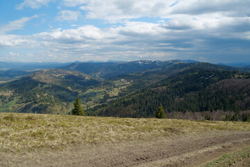 Naklejka premium View of Carpathian Mountains in Ukraine